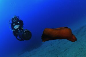 Experiencia DPV propulsión submarina en la Costa Brava con TossaDivers