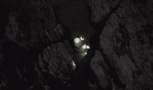 Inmersión nocturna del curso PADI Advanced en Tossa de Mar