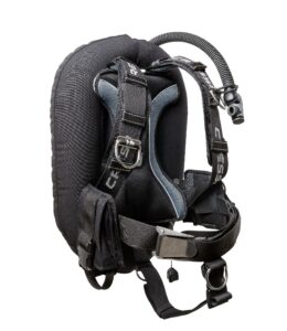 ¿Qué tipo de BCD deberías usar?