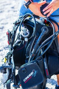 ¿Qué tipo de BCD deberías usar?